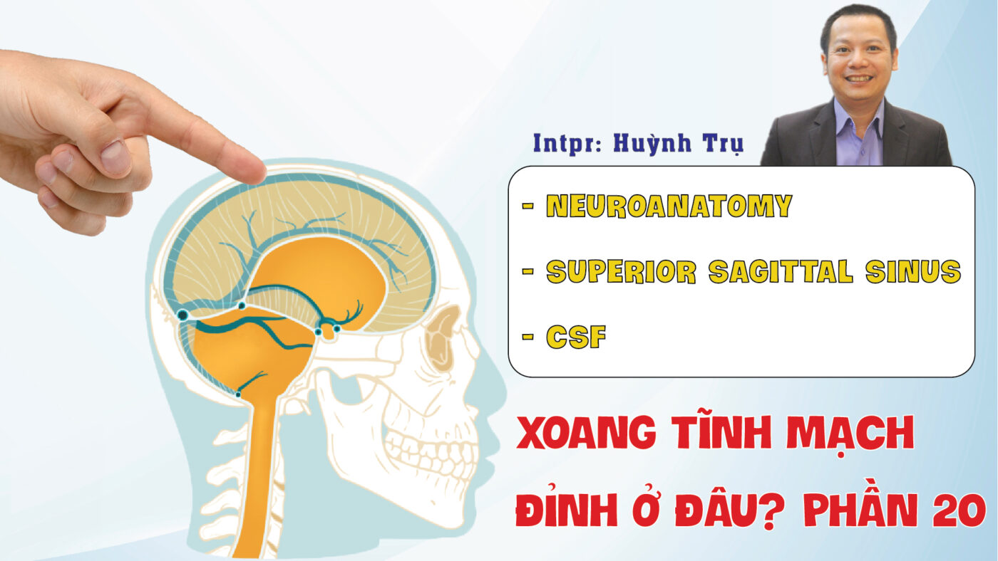 NEUROANATOMY SUPERIOR SAGITTAL SINUS CSF XOANG TINH MACH DINH O   DAU PHAN 20 01 01 01